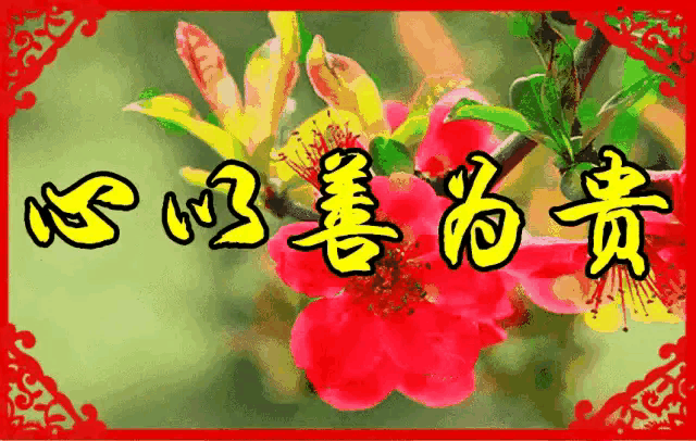 前妻的母亲去世了,我该去吊唁吗？