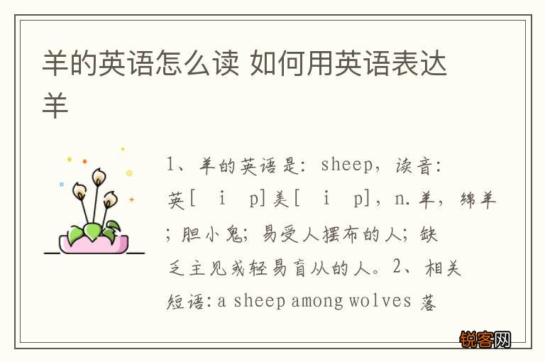 羊的英语怎么读 如何用英语表达羊
