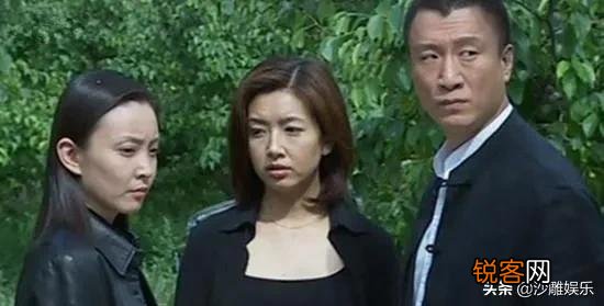 张嘉译前妻央视才女刘威葳,恋过孙红雷,如今现状怎么样？