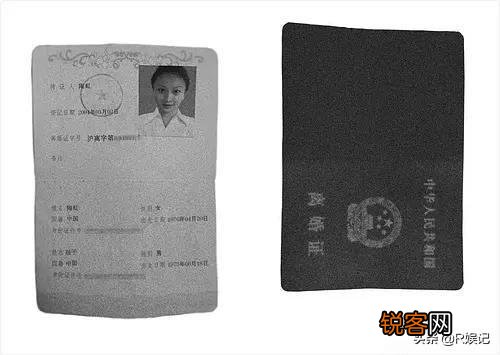 杨子前妻陶虹现状怎么样？