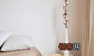成日是什么意思 成日是啥意思