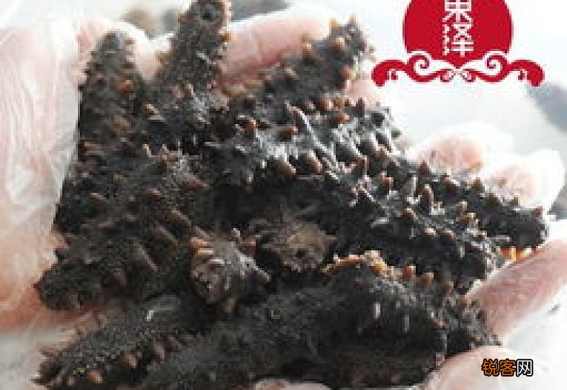 请问吃海参对人体有什么好处