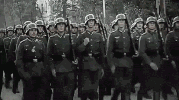 纳粹国防军和党卫军之间的区别是什么？