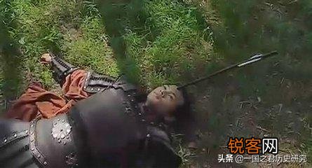 李敢因父亲之死,迁怒卫青,把卫青打了,霍去病知道了就把李敢杀了,你怎么看这件事？