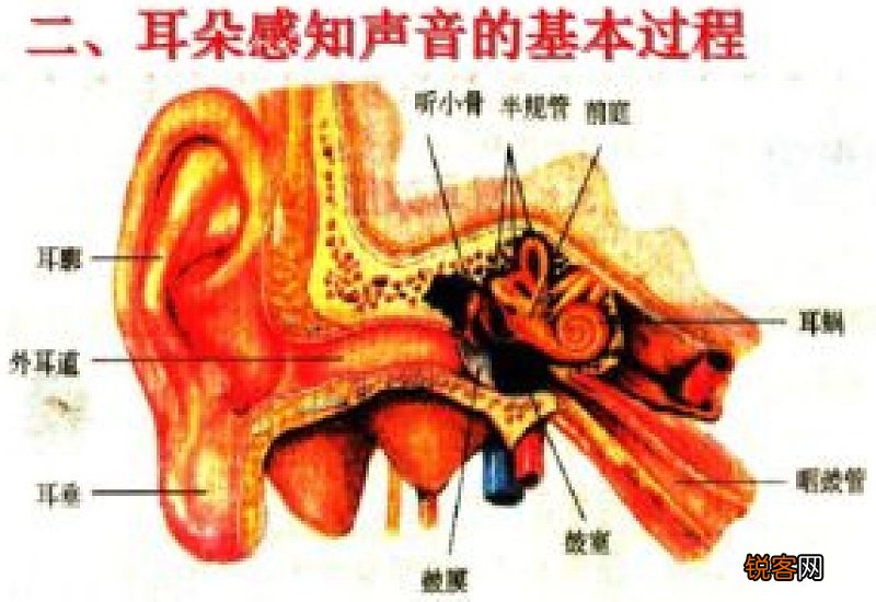 声音是以什么的形式传播的当声波遇到物体时会使物体
