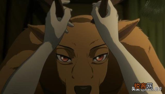 怎么看待《BEASTARS》中路易和春的关系？