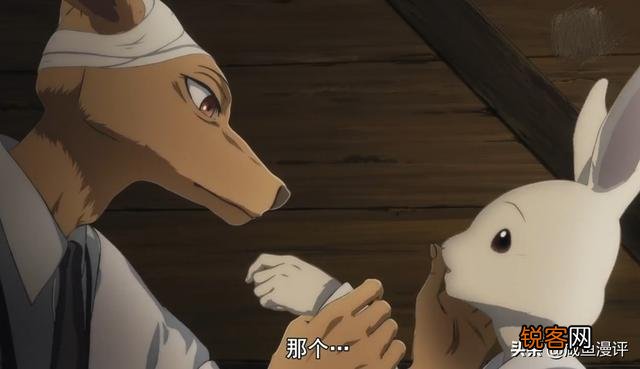怎么看待《BEASTARS》中路易和春的关系？