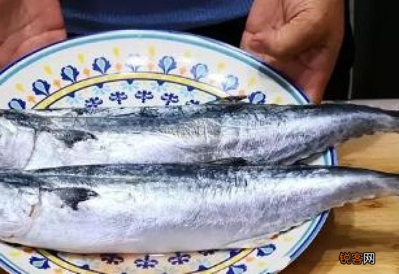 鲅鱼是海鱼还是淡水鱼 鲅鱼怎么做好吃又简单还没腥味