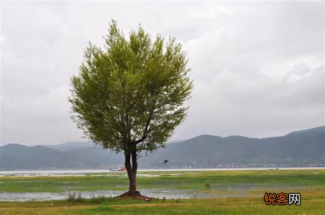 第一次去旅行,你经历了什么？