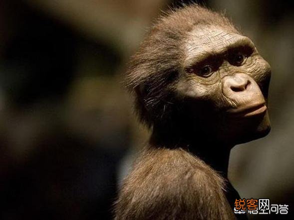 地球上本没有“人”,第一个“人”究竟是从何而来的？有定论吗？