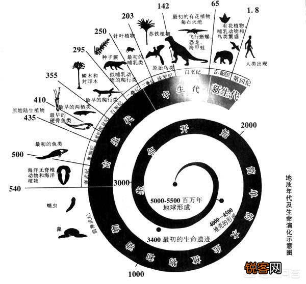 地球上本没有“人”,第一个“人”究竟是从何而来的？有定论吗？