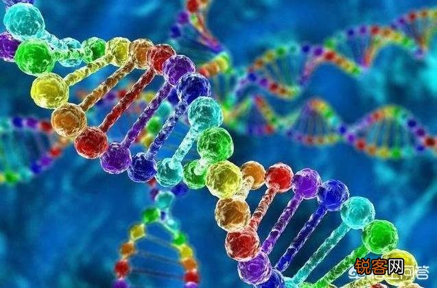 地球上本没有“人”,第一个“人”究竟是从何而来的？有定论吗？