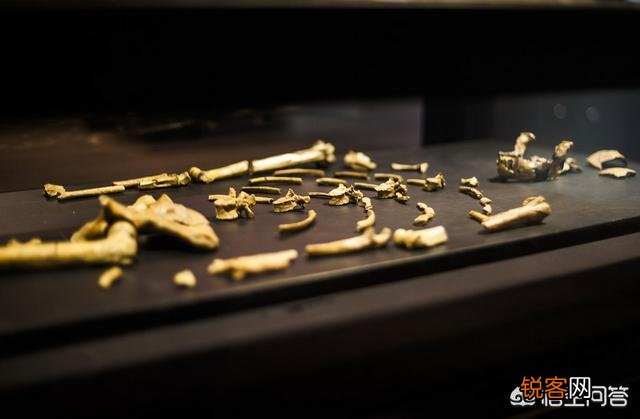 地球上本没有“人”,第一个“人”究竟是从何而来的？有定论吗？