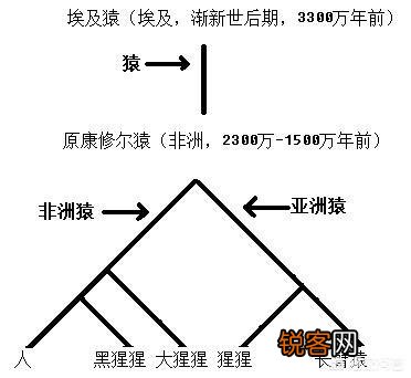 地球上本没有“人”,第一个“人”究竟是从何而来的？有定论吗？