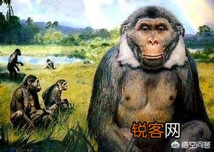人类进化时,是先出现第一个“人”,还是直接出现第一群“人”？