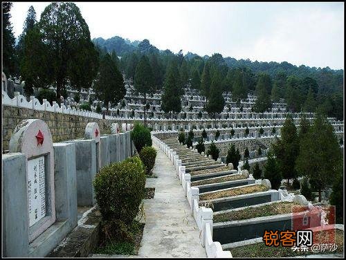 战场上死人很正常,对于尸体的处理做法是什么？