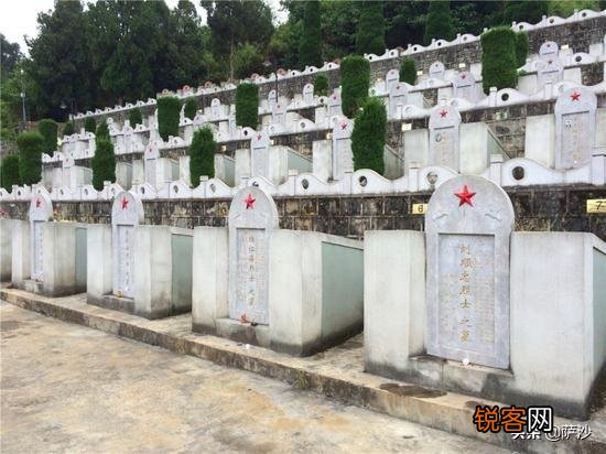 战场上死人很正常,对于尸体的处理做法是什么？