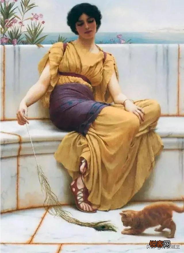 作为艺术爱好者,你如何评价“野兽派始祖”马蒂斯的色彩绘画？