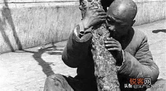 古代闹饥荒时,为何少有灾民捕食河里的鱼虾的传言,而大多传言说是去啃树皮草根呢？