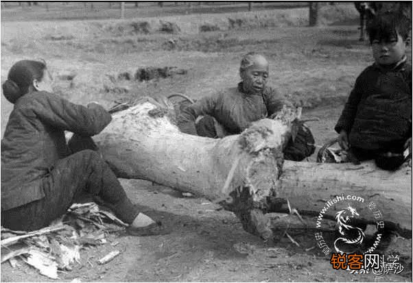 古代闹饥荒时,为何少有灾民捕食河里的鱼虾的传言,而大多传言说是去啃树皮草根呢？