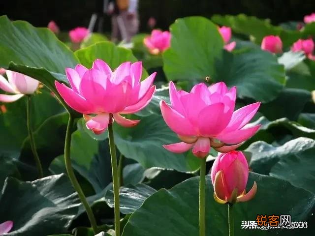 人之初,到底是“性本善”,还是“性本恶”？