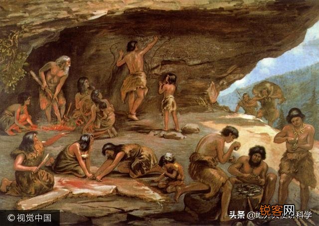生物进化过程中,为什么只有人类选择了直立行走？