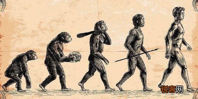 生物进化过程中,为什么只有人类选择了直立行走？