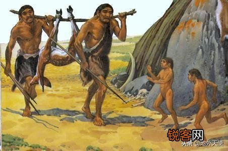 生物进化过程中,为什么只有人类选择了直立行走？