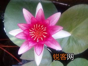 重庆电信民用宽带一般用那个DNS比较好？