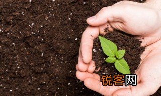 旱怎么读 旱的组词