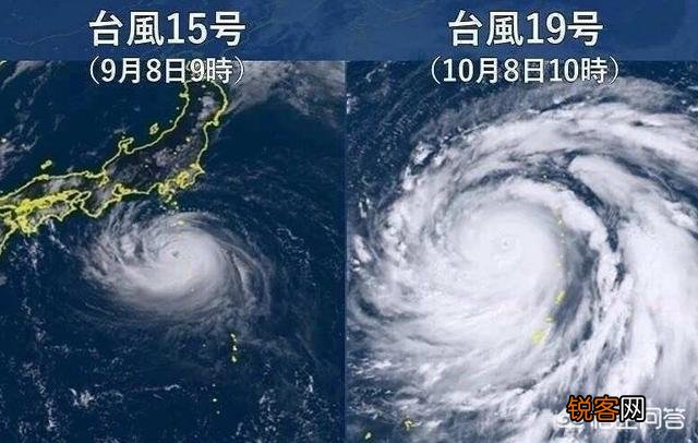 网络对这次台风“海贝思”有什么恶搞呢？