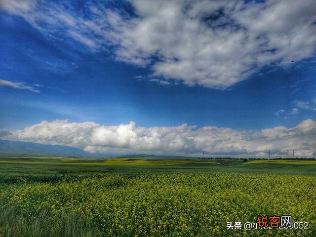 想买辆房车,哪位大神可给个建议自行式……拖挂？