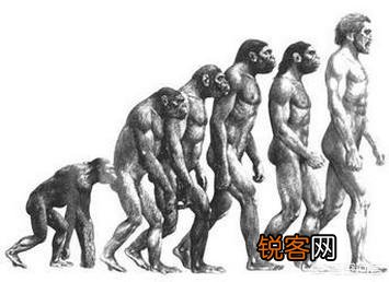 野兽先辈有思考的能力吗？