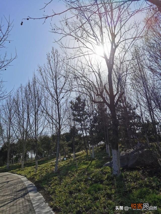 有100万存款,想全部用来旅游,该怎么使用呀？