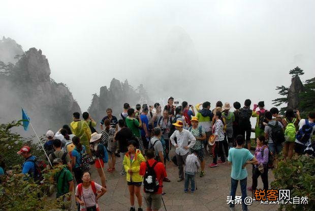 有100万存款,想全部用来旅游,该怎么使用呀？