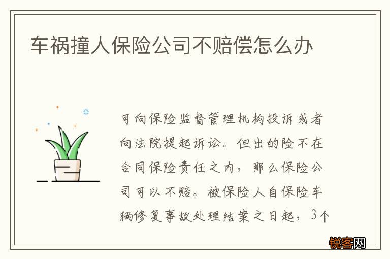 车祸撞人保险公司不赔偿怎么办