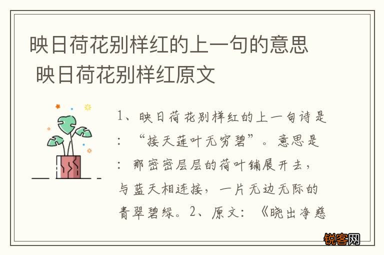 映日荷花别样红的上一句的意思 映日荷花别样红原文