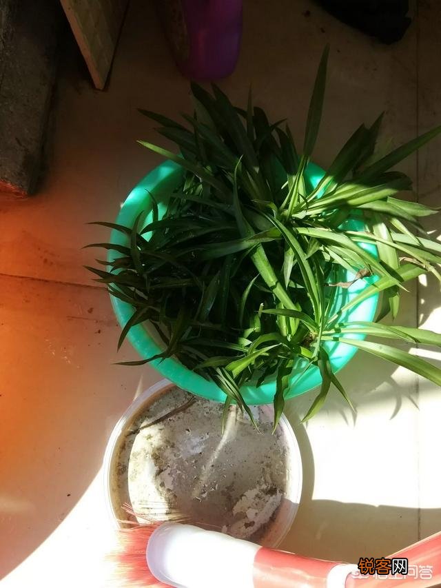 想在淘宝上开店,不知道卖什么没有货源怎么办？