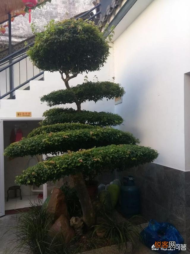 想在淘宝上开店,不知道卖什么没有货源怎么办？