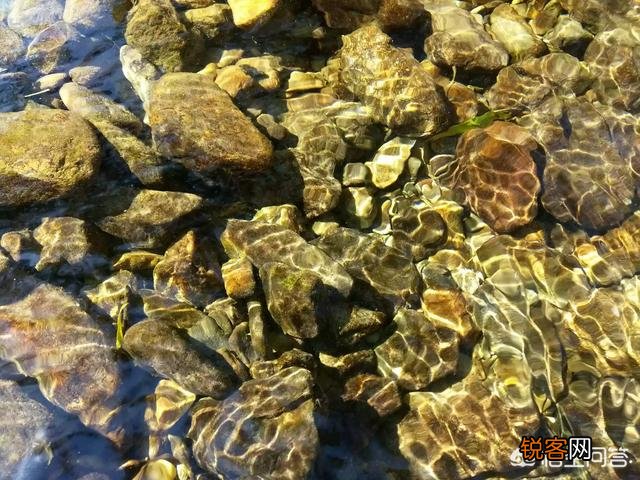 想在淘宝上开店,不知道卖什么没有货源怎么办？