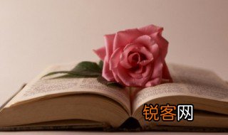 什么叫共点力 共点力的解释