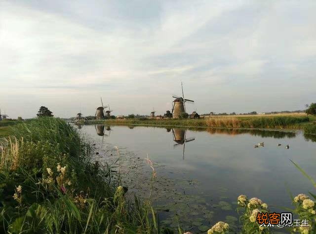 你去过荷兰旅行吗？可以分享你的旅行体验吗？