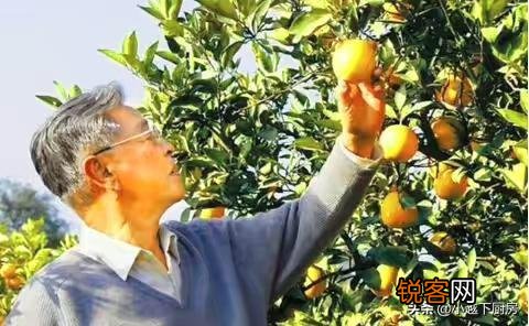 老干妈因辣椒酱而出名,并最终创立了“老干妈”名牌,你还知道其他类似故事吗？