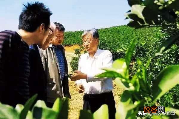褚时健在种植、农业管理上有什么独特的地方？