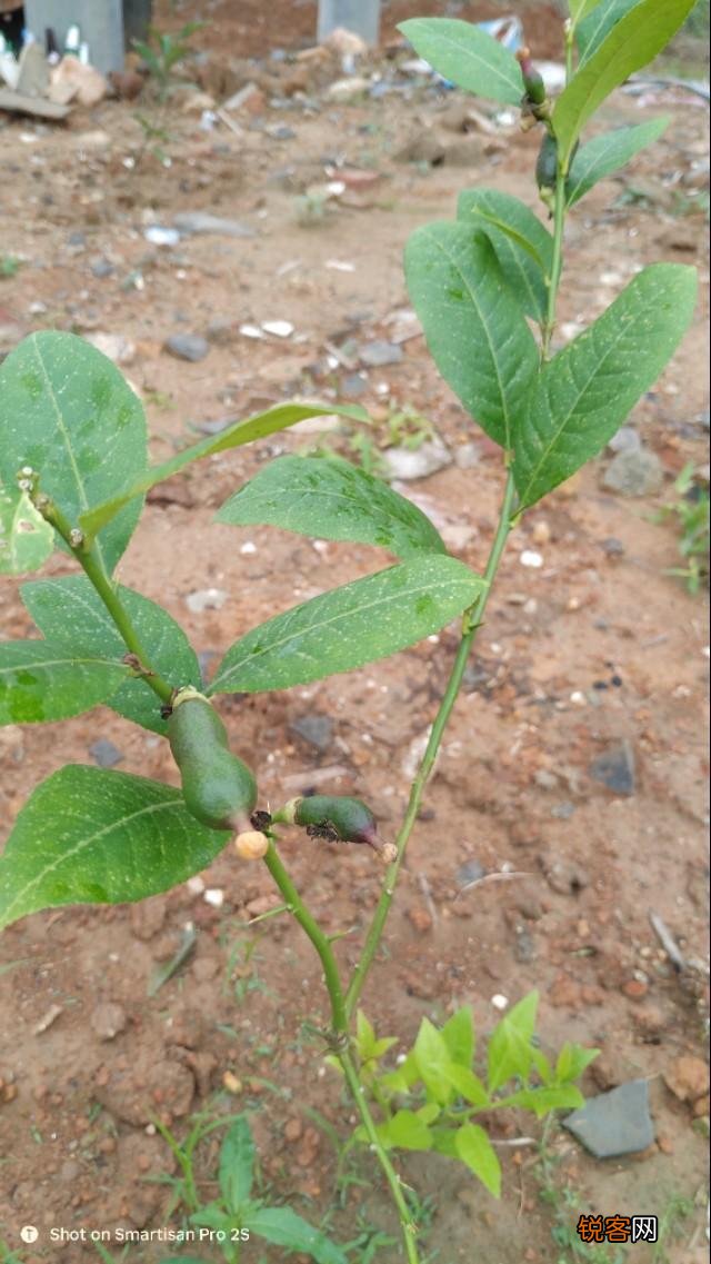 我是做实体的,我就想问一下同行目前你们的生意好吗？电商好做吗？该怎么办？