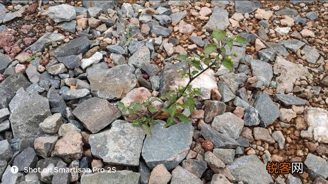 我是做实体的,我就想问一下同行目前你们的生意好吗？电商好做吗？该怎么办？