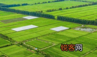 江汉平原以什么为主 江汉平原主产什么