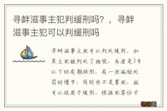 寻衅滋事主犯判缓刑吗？，寻衅滋事主犯可以判缓刑吗