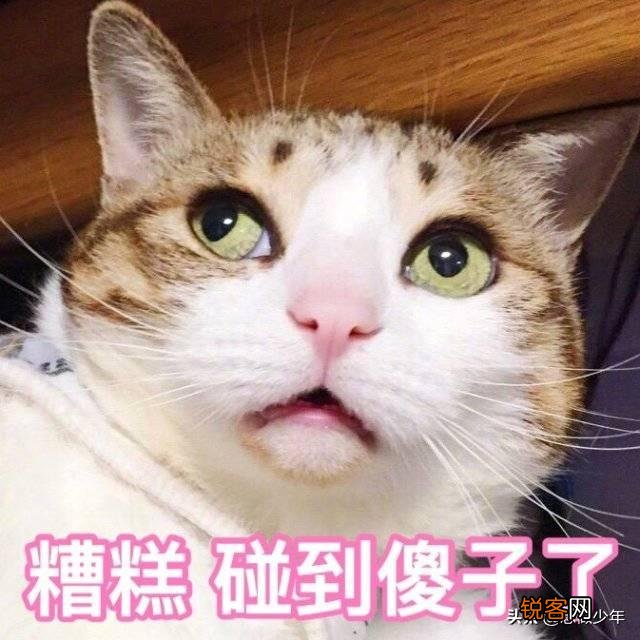 20岁,才开始追求梦想,是不是有点晚,还是跟年龄无关？
