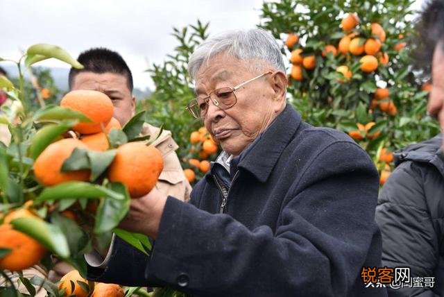 实业家褚时健,一个时代的背影,留给了我们什么？
